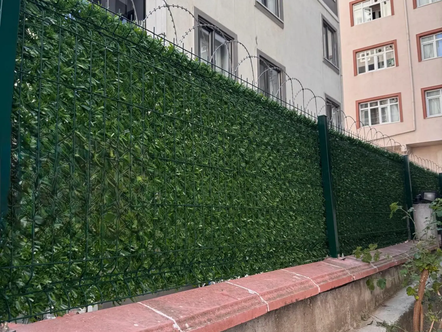 Kerpe ve Kefken sahil hattında çit seçimi